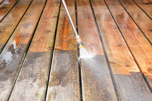 Animal Enclosure Cleaning in Garrison, MD